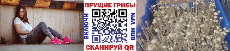 Псилоцибиновые грибы MAGIC MUSHROOMS  Златоуст 