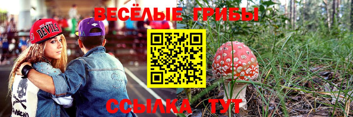 Златоуст  Псилоцибиновые грибы GOLDEN TEACHER  Вход с VPN 