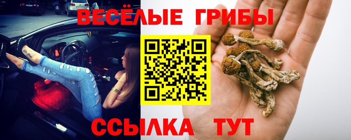 Псилоцибиновые грибы Cubensis Златоуст